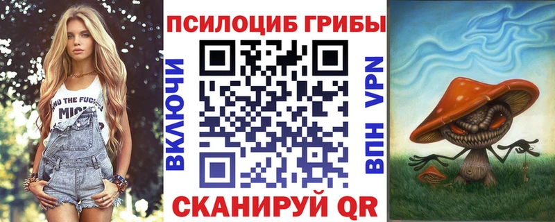 купить наркотик  кракен ТОР  сайты даркнета наркотические препараты  Ростов  Галлюциногенные грибы мицелий 
